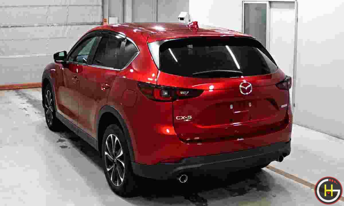 33.png